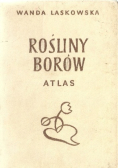 Rośliny borów Atlas