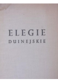 Elegie Duinejskie
