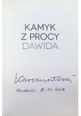 Kamyk z procy Dawida. Jak czytać Pismo Święte?