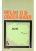 Oflag II D Gross Born