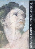 Michał Anioł na tle epoki