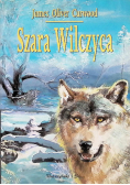 Szara wilczyca