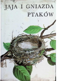 Jaja i gniazda ptaków