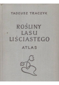 Rośliny lasu liściastego Atlas