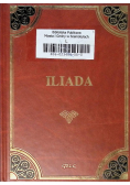 Homer Iliada