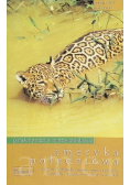 Ameryka Południowa