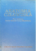 Anatomia człowieka