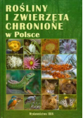 Rośliny chronione w Polsce
