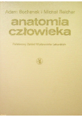 Anatomia człowieka Tom IV