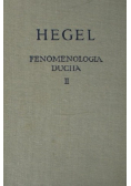 Fenomenologia ducha Tom II