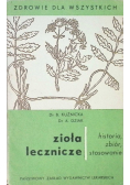 Zioła lecznicze historia zbiór stosowanie