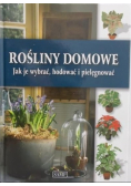 Rośliny domowe Jak je wybrać hodować i pielęgnować