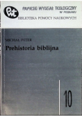 Prehistoria biblijna Tom 10