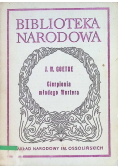 Cierpienia młodego Wertera
