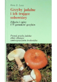 Grzyby jadalne i ich trujące sobowtóry