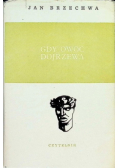 Gdy owoc dojrzewa
