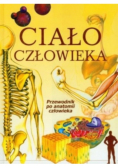 Ciało człowieka Przewodnik po anatomii człowieka