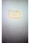Codex Aureus Gnesnensis