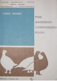 Ptaki młodszego czwartorzędu Polski