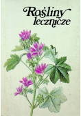 Rośliny Lecznicze