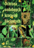 Ochrona ozdobnych krzewów liściastych