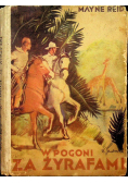 W Pogoni za żyrafami  1935 r.
