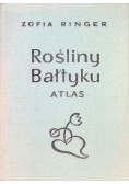 Rośliny Bałtyku