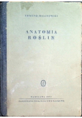 Anatomia roślin