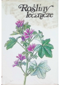 Rośliny Lecznicze