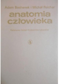 Anatomia człowieka Tom IV