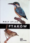 Mały atlas ptaków