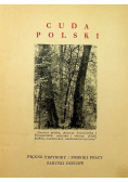 Puszcze polskie 1936 r.