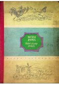 Woda żywa