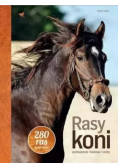 Rasy koni