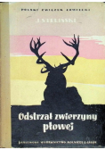 Odstrzał zwierzyny płowej