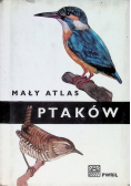 Mały atlas ptaków