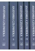 Anatomia człowieka Tom 1 do 5