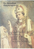 Krótki zarys dziejów diecezji krakowskiej