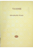 Zbłąkane ptaki
