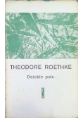 Dalekie pole