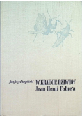 W krainie dziwów