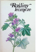 Rośliny Lecznicze