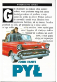 Pył