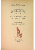 Szkice Boza i przedstawiciel niehandlowy