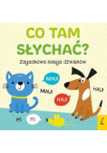 Co tam słychać