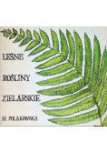 Leśne rośliny zielarskie