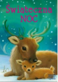 Świąteczna noc