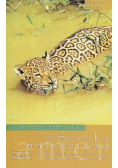 Ameryka Południowa