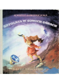 Sztolnia w Sowich Górach