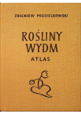 Rośliny wydm Atlas